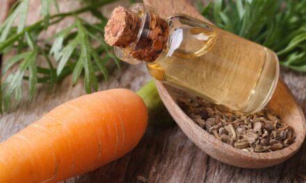 Huile de carotte : bienfaits et utilisation